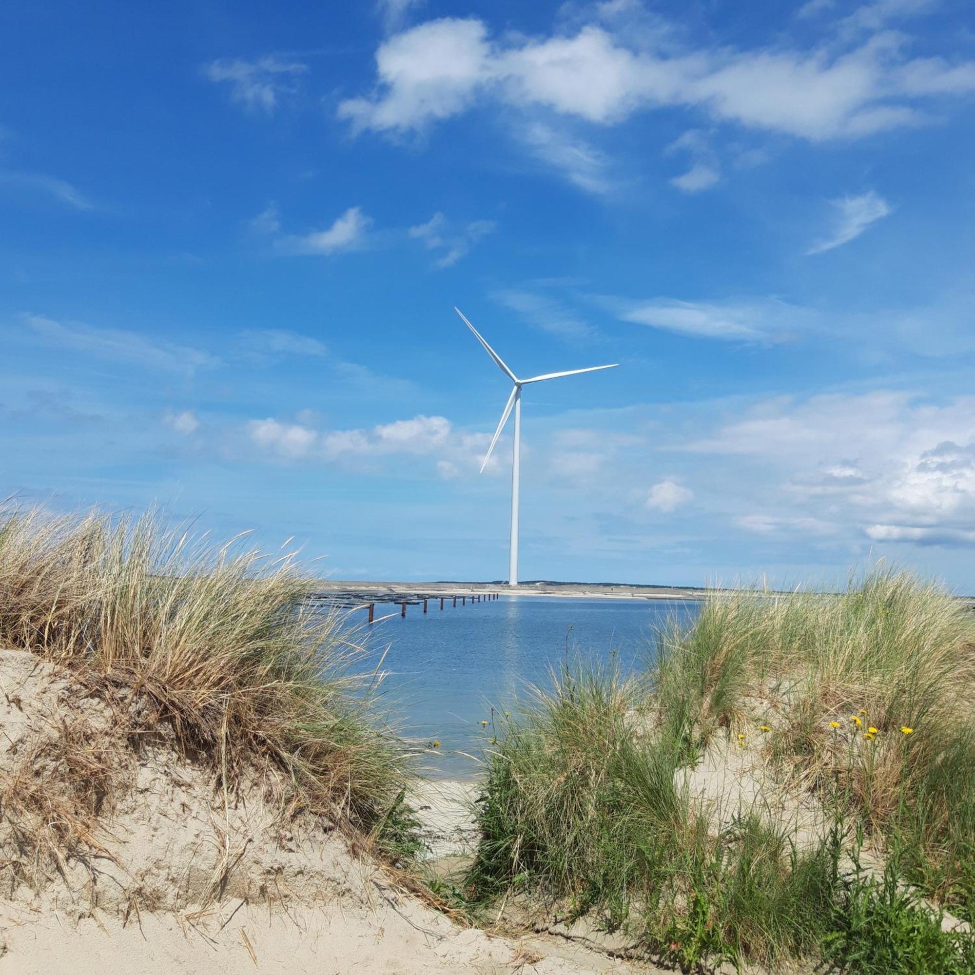 Slapen Aan De Voet Van De Molen Ovezande Экстерьер фото